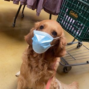 Meet your Posher, Michael